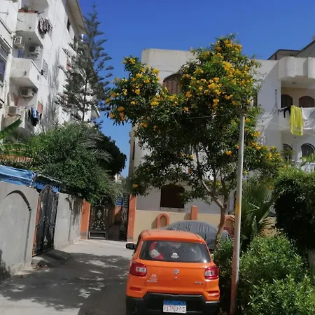 شقة الولاء Loyalty Apartment Dumyat al Jadidah Exterior photo